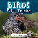 Birds Play Tricks!