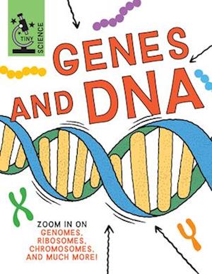 Genes and DNA