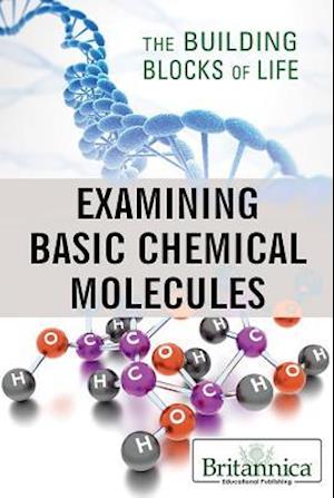 Examining Basic Chemical Molecules