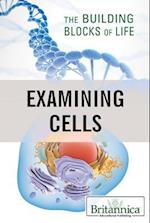 Examining Cells