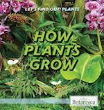 How Plants Grow