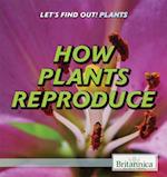 How Plants Reproduce
