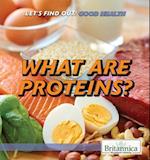 What Are Proteins?