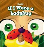 If I Were a Ladybug