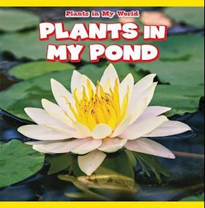 Plants in My Pond