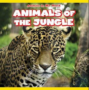 Animals of the Jungle