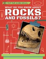 What Do You Know about Rocks and Fossils?