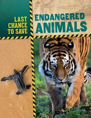 Endangered Animals