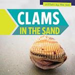 Clams in the Sand