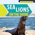 Sea Lions on the Shore