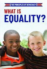 What Is Equality?
