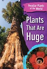 Plants That Are Huge