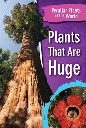 Plants That Are Huge