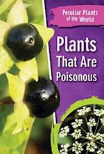 Plants That Are Poisonous