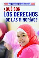 ¿qué Son Los Derechos de Las Minorías? (What Are Minority Rights?)