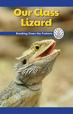 Our Class Lizard