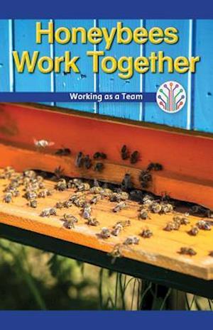 Honeybees Work Together