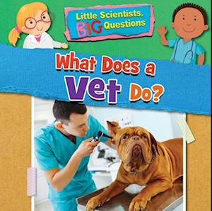What Does a Vet Do?