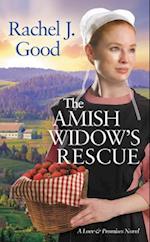 The Amish Widow's Rescue