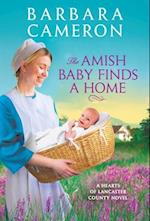 The Amish Baby Finds a Home