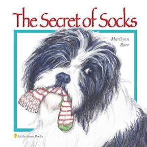 The Secret of Socks