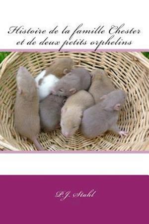 Histoire de La Famille Chester Et de Deux Petits Orphelins