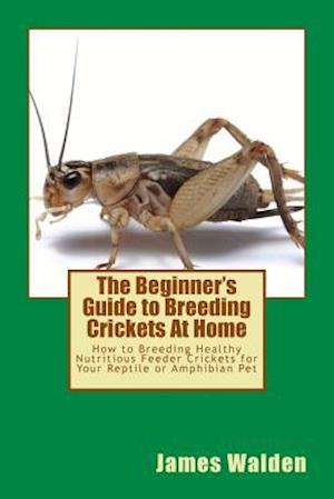 The Beginner's Guide to Breeding Crickets at Home