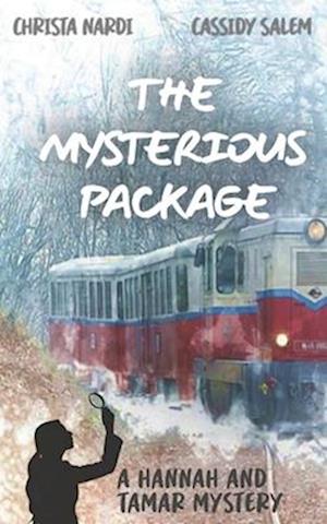The Mysterious Package: A Hannah and Tamar Mystery