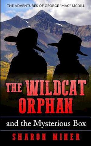 The Wildcat Orphan and the Mysterious Box