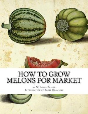 How to Grow Melons for Market