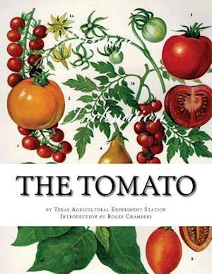 The Tomato
