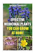 Effective Medicinal Plants You Can Grow at Home
