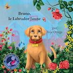 Bruno, Le Labrador Jaune