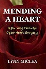 Mending a Heart