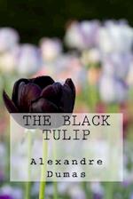 The Black Tulip