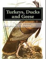 Turkeys, Ducks and Geese