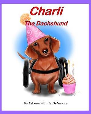 Charli the Dachshund