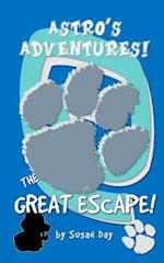 The Great Escape - Astro's Adventures Pocket Edition