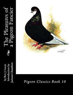 The Pleasures of a Pigeon Fancier