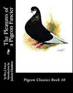 The Pleasures of a Pigeon Fancier