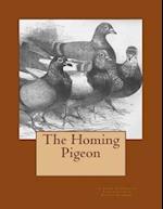 The Homing Pigeon