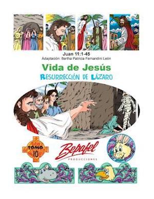 Vida de Jesus-La Resurreccion de Lazaro