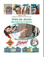 Vida de Jesus-La Resurreccion de Lazaro