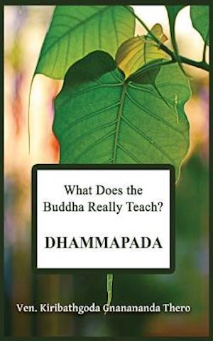 What Does the Buddha Really Teach? Dhammapada