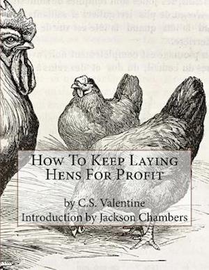 How to Keep Laying Hens for Profit