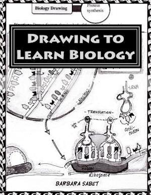 Drawing to Learn Biology