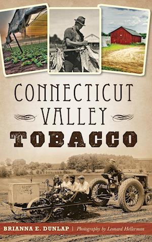 Connecticut Valley Tobacco