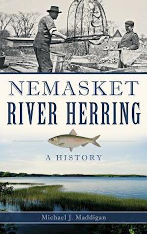 Nemasket River Herring