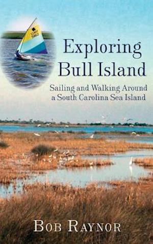 Exploring Bull Island