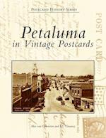 Petaluma in Vintage Postcards 